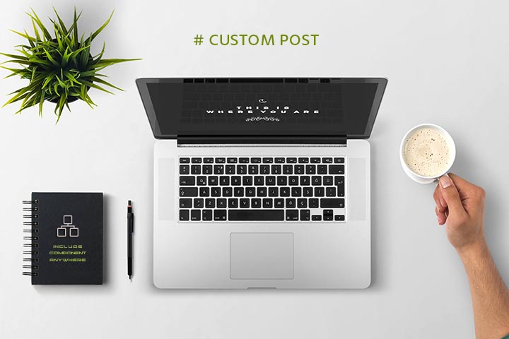 Custom Post Format